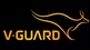 V-Guard Industries Ltd reports higher Q1 FY2024-25 consolidated profit of Rs. 98.97 crores